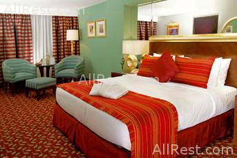 Le Meridien Abu Dhabi 12